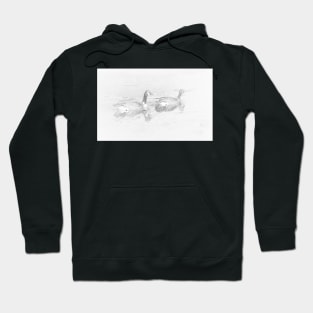 Canada Geese Pencil Hoodie